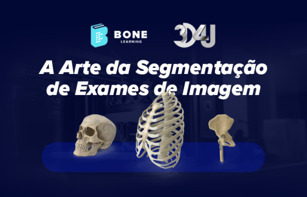 A Arte da Segmentação de Exames de Imagem